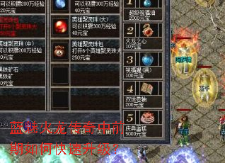 蓝魅火龙传奇中前期如何快速升级? 蓝魅火龙传奇中前期如何快速升级?