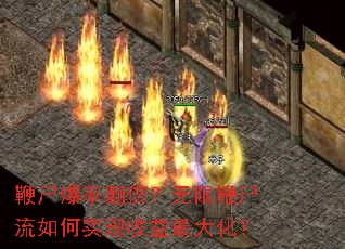 ��ʬ���ʷ��������ޱ�ʬ�����ʵ��������󻯣�