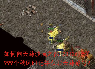 如何向天尊沙漠之都173426赠送999个秋风印记并获取天尊称号? 如何向天尊沙漠之都173426赠送999个秋风印记并获取天尊称号?