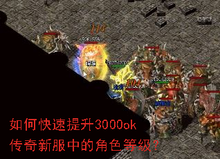 ��ο�������3000ok�����·��еĽ�ɫ�ȼ���