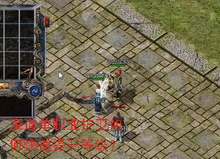 魔道单职业护卫如何快速提升等级? 魔道单职业护卫如何快速提升等级?