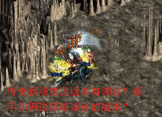 传奇新服常见版本有哪些?新手如何选择最适合的版本? 传奇新服常见版本有哪些?新手如何选择最适合的版本?