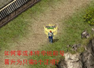 �����ɱ�����ͳ�ƺŽ���Ϊֻ��5��֤����