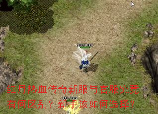 红月热血传奇新服与官服究竟有何区别?新手该如何选择? 红月热血传奇新服与官服究竟有何区别?新手该如何选择?