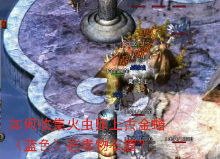 如何收集火虫卵上古金蟾(蓝色)在毒物石窟? 如何收集火虫卵上古金蟾(蓝色)在毒物石窟?