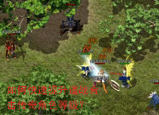 如何快速提升道战合击传奇角色等级? 如何快速提升道战合击传奇角色等级?