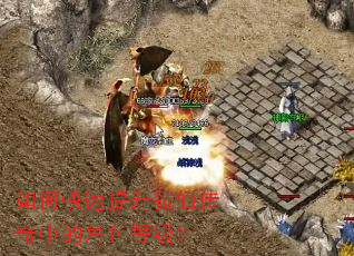 如何快速提升弑仙传奇中的角色等级? 如何快速提升弑仙传奇中的角色等级?