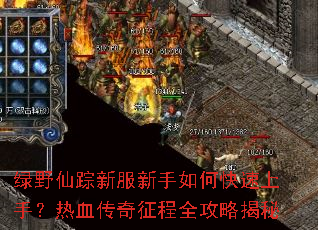 ��Ұ�����·�������ο������֣���Ѫ��������ȫ���Խ���