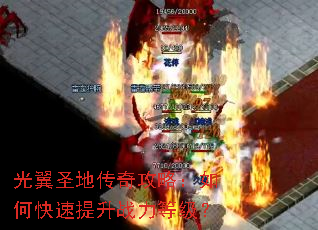 ����ʥ�ش��湥�ԣ���ο�������ս���ȼ���