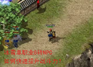 冰雪单职业8转NPC如何快速提升战斗力? 冰雪单职业8转NPC如何快速提升战斗力?