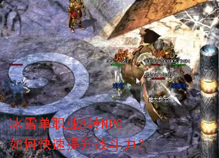 冰雪单职业8转NPC如何快速提升战斗力? 冰雪单职业8转NPC如何快速提升战斗力?