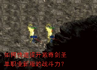 如何快速提升紫尊剑圣单职业新服的战斗力? 如何快速提升紫尊剑圣单职业新服的战斗力?