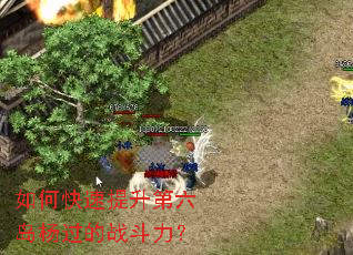 如何快速提升第六岛杨过的战斗力? 如何快速提升第六岛杨过的战斗力?