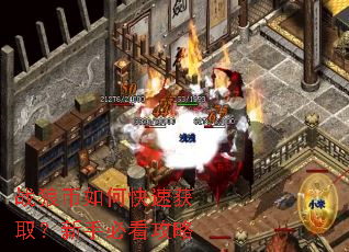 战狼币如何快速获取?新手必看攻略 战狼币如何快速获取?新手必看攻略