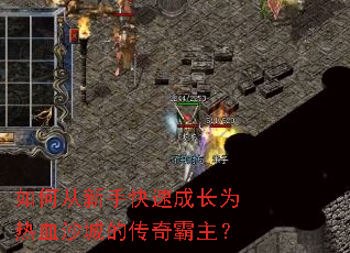 如何从新手快速成长为热血沙城的传奇霸主? 如何从新手快速成长为热血沙城的传奇霸主?