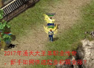 2017年通天大圣单职业传奇,新手如何快速起步称霸全服? 2017年通天大圣单职业传奇,新手如何快速起步称霸全服?
