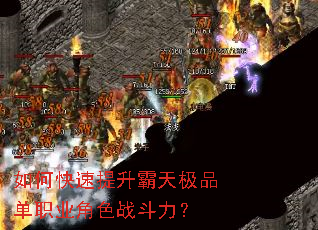 ��ο����������켫Ʒ��ְҵ��ɫս������