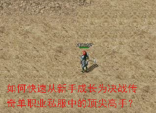 如何快速从新手成长为决战传奇单职业私服中的顶尖高手? 如何快速从新手成长为决战传奇单职业私服中的顶尖高手?