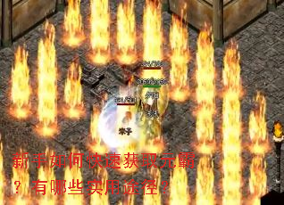 新手如何快速获取元霸?有哪些实用途径? 新手如何快速获取元霸?有哪些实用途径?