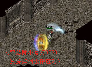 ���淨ʦС�Ŵ�BOSS��������μ���Ӧ�ԣ�
