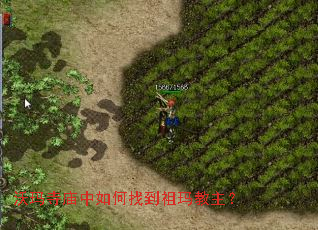 沃玛寺庙中如何找到祖玛教主? 沃玛寺庙中如何找到祖玛教主?