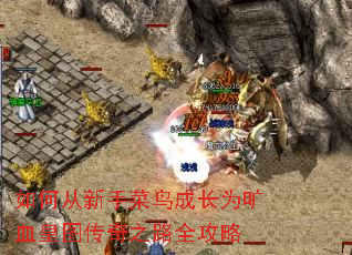 如何从新手菜鸟成长为旷血皇图传奇之路全攻略 如何从新手菜鸟成长为旷血皇图传奇之路全攻略
