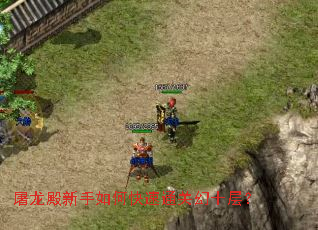 屠龙殿新手如何快速通关幻十层? 屠龙殿新手如何快速通关幻十层?