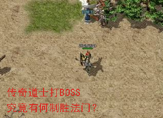 �����ʿ��BOSS�����к���ʤ���ţ�