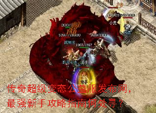 ���泬����̬���������������ǿ���ֹ���ָ�Ϻδ�Ѱ��