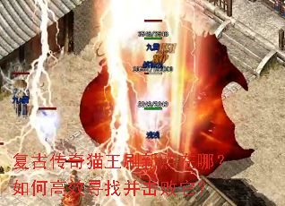 ���Ŵ���è��ˢ�µ����ģ���θ�ЧѰ�Ҳ���������