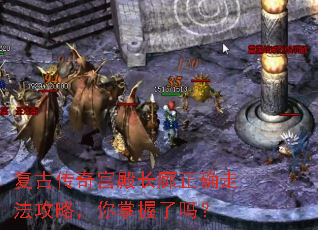 ���Ŵ��湬�����ȷ�߷����ԣ�����������