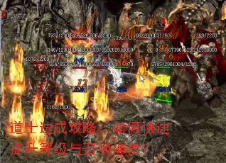 道士速成攻略:如何快速提升等级与召唤神兽? 道士速成攻略:如何快速提升等级与召唤神兽?