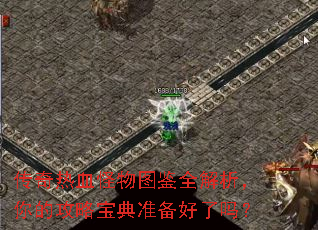 ������Ѫ����ͼ��ȫ��������Ĺ��Ա���׼��������