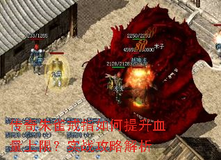 传奇朱雀戒指如何提升血量上限?实战攻略解析 传奇朱雀戒指如何提升血量上限?实战攻略解析