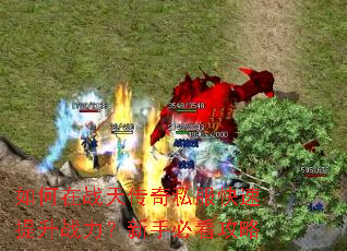 �����ս�촫��˽����������ս�������ֱؿ�����