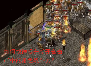 如何快速提升新开合击sf中的角色战斗力? 如何快速提升新开合击sf中的角色战斗力?