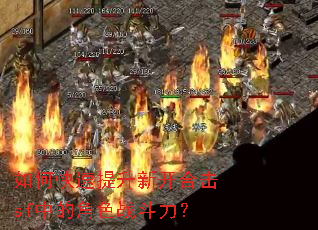 如何快速提升新开合击sf中的角色战斗力? 如何快速提升新开合击sf中的角色战斗力?
