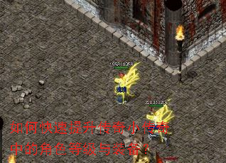 如何快速提升传奇小传奇中的角色等级与装备? 如何快速提升传奇小传奇中的角色等级与装备?