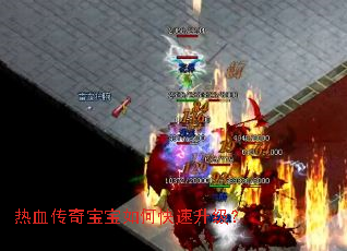 热血传奇宝宝如何快速升级? 热血传奇宝宝如何快速升级?