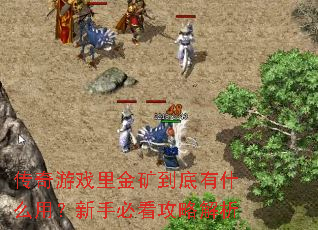 传奇游戏里金矿到底有什么用?新手必看攻略解析 传奇游戏里金矿到底有什么用?新手必看攻略解析