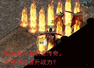 ΢�˳��䵥ְҵ���棬��ο�������ս����