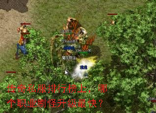 传奇私服排行榜上,哪个职业刷怪升级最快? 传奇私服排行榜上,哪个职业刷怪升级最快?