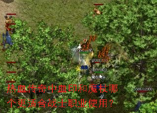 热血传奇中血印和魔杖哪个更适合战士职业使用? 热血传奇中血印和魔杖哪个更适合战士职业使用?