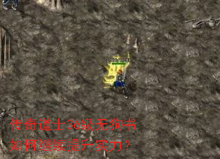 传奇道士36级无狗书如何继续提升实力? 传奇道士36级无狗书如何继续提升实力?