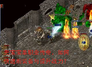 �ޱ�����ְҵ���棬��ο���ˢװ��������ս����