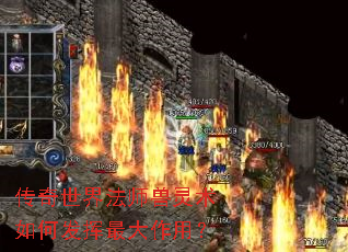 传奇世界法师兽灵术如何发挥最大作用? 传奇世界法师兽灵术如何发挥最大作用?