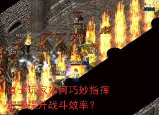 道士玩家如何巧妙指挥宝宝提升战斗效率? 道士玩家如何巧妙指挥宝宝提升战斗效率?