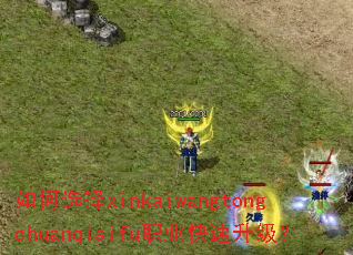 如何选择xinkaiwangtongchuanqisifu职业快速升级? 如何选择xinkaiwangtongchuanqisifu职业快速升级?