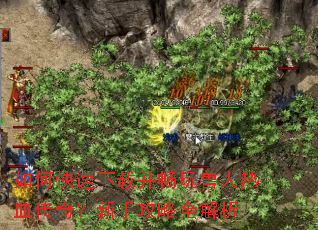 ��ο������ز�����������Ѫ���棿���ֹ���ȫ����