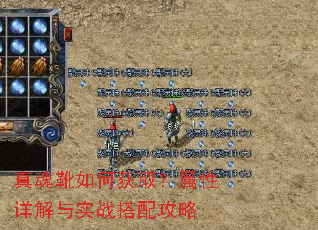 ���ѥ��λ�ȡ�����������ʵս���乥��
